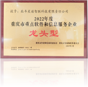 重慶市重點軟件和信息服務(wù)企業(yè)一"龍頭型"