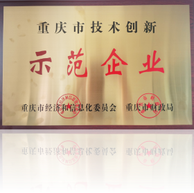 重慶市技術(shù)創(chuàng)新示范企業(yè)