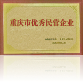 重慶市優(yōu)秀民營(yíng)企業(yè)獎(jiǎng)