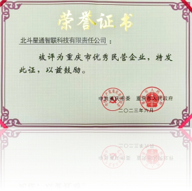 重慶市優(yōu)秀民營(yíng)企業(yè)證書